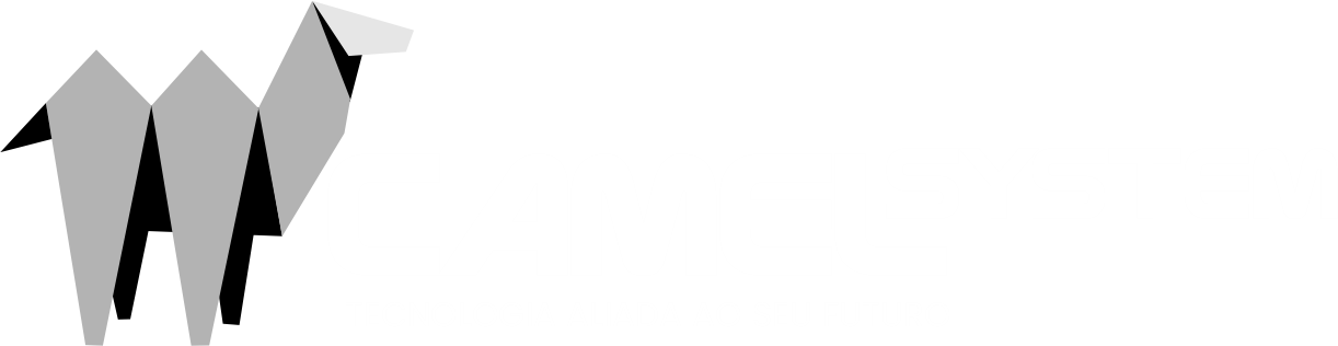 Camel System